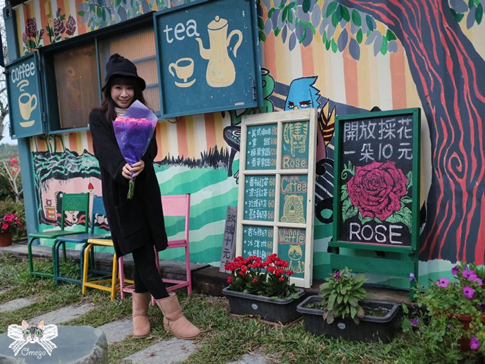 《花蓮壽豐咖啡》花田小路。再訪雲山水文青哥的貨櫃屋，咖啡繪畫採玫瑰。