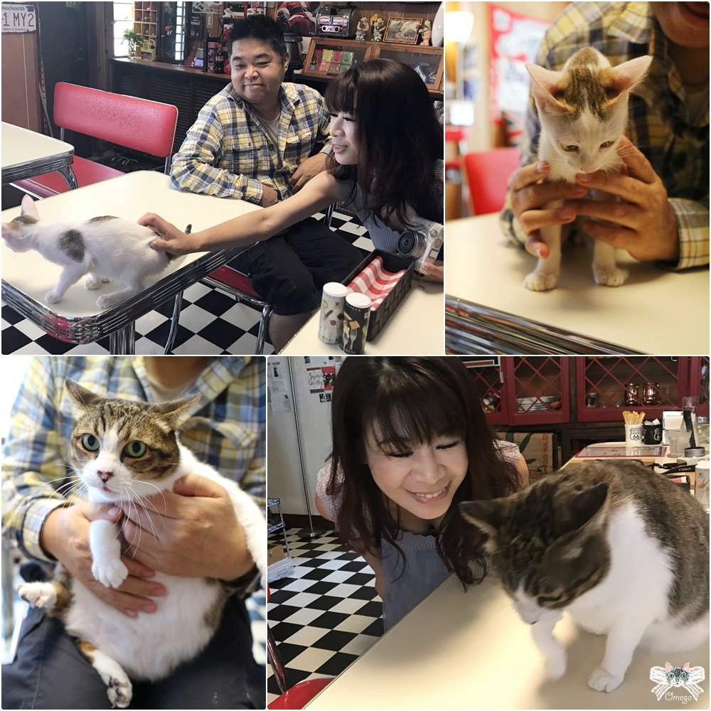 沖繩貓咪餐廳