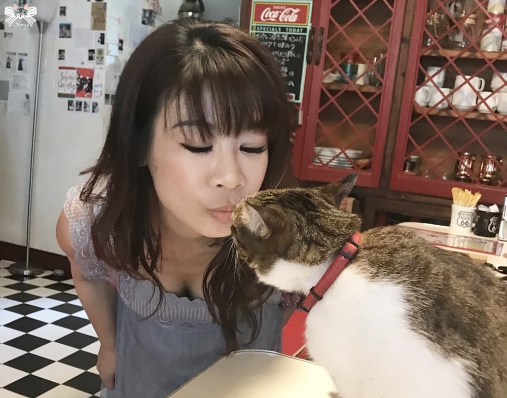 《沖繩貓咪餐廳》Ucchee’s Cafe|沖繩中部東海岸美式咖啡館附民宿，有狗有貓有貼心