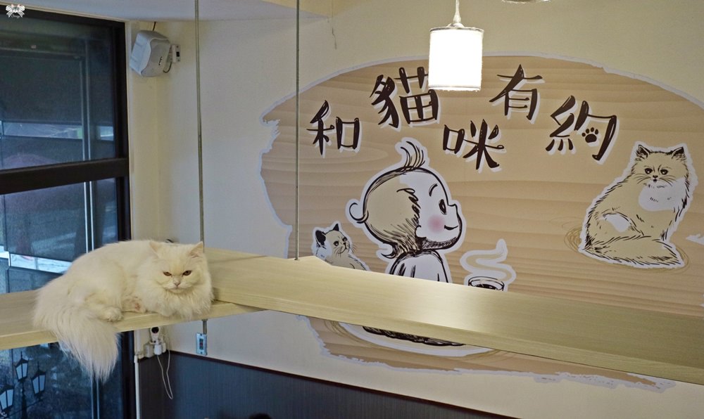 台北貓咪餐廳
