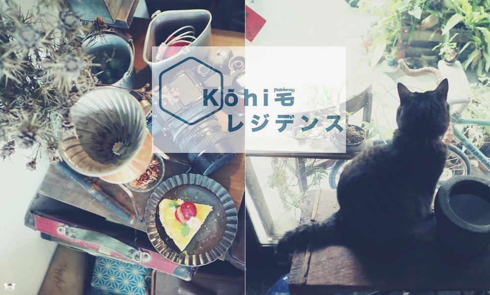 《花蓮貓咪咖啡 》KŌHI 珈琲宅|老屋懷舊風情，貓肥咖啡專業