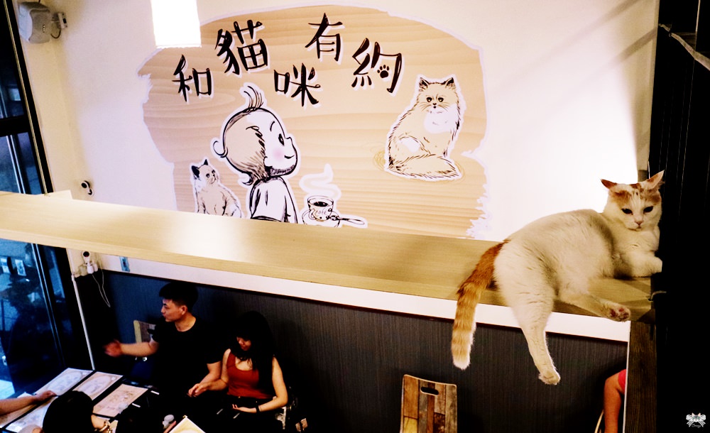 《台北貓咪餐廳》和貓咪有約|不限時吃得飽20隻品種萌貓圍繞，近南京三民站