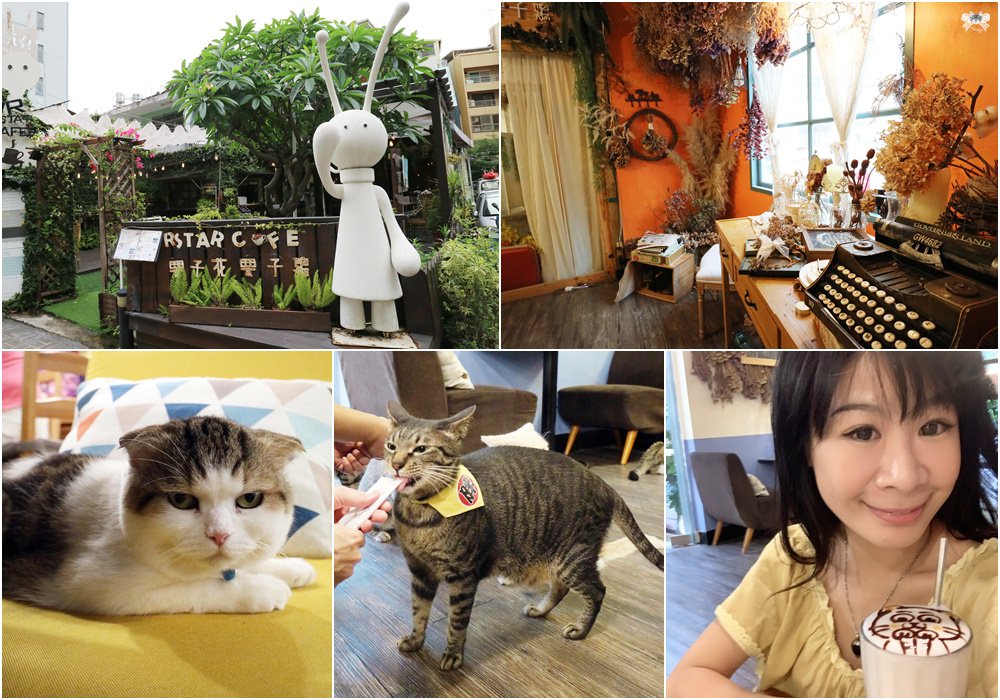《台中貓咪餐廳》R星咖啡|獨棟鄉村風浪漫庭園，滿滿店貓寵物友善