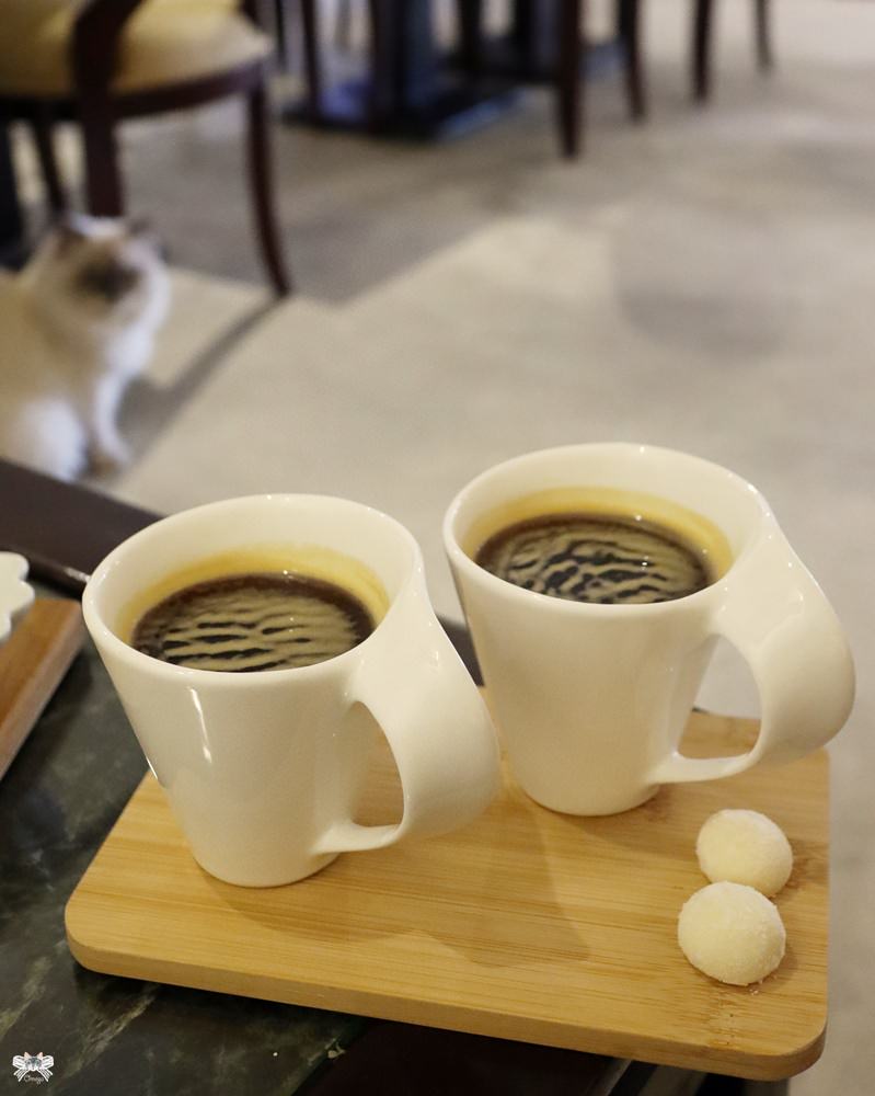 淡水貓咪咖啡