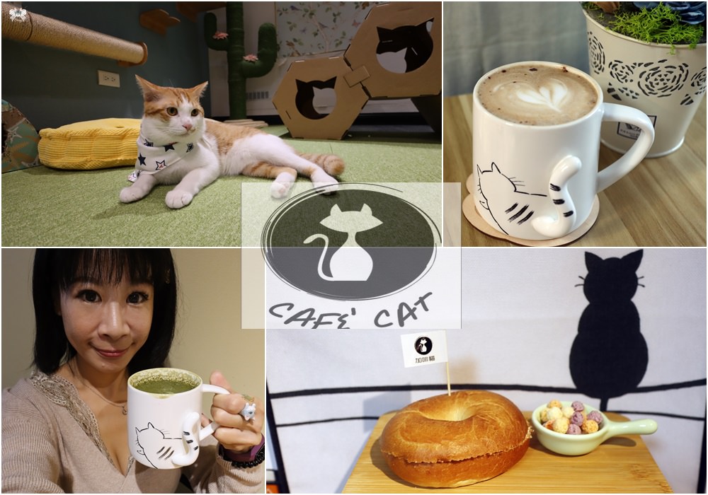 《台北貓咪咖啡》加啡貓|內湖近潭美公園，乾淨安靜舒服有七隻店貓(已歇業)