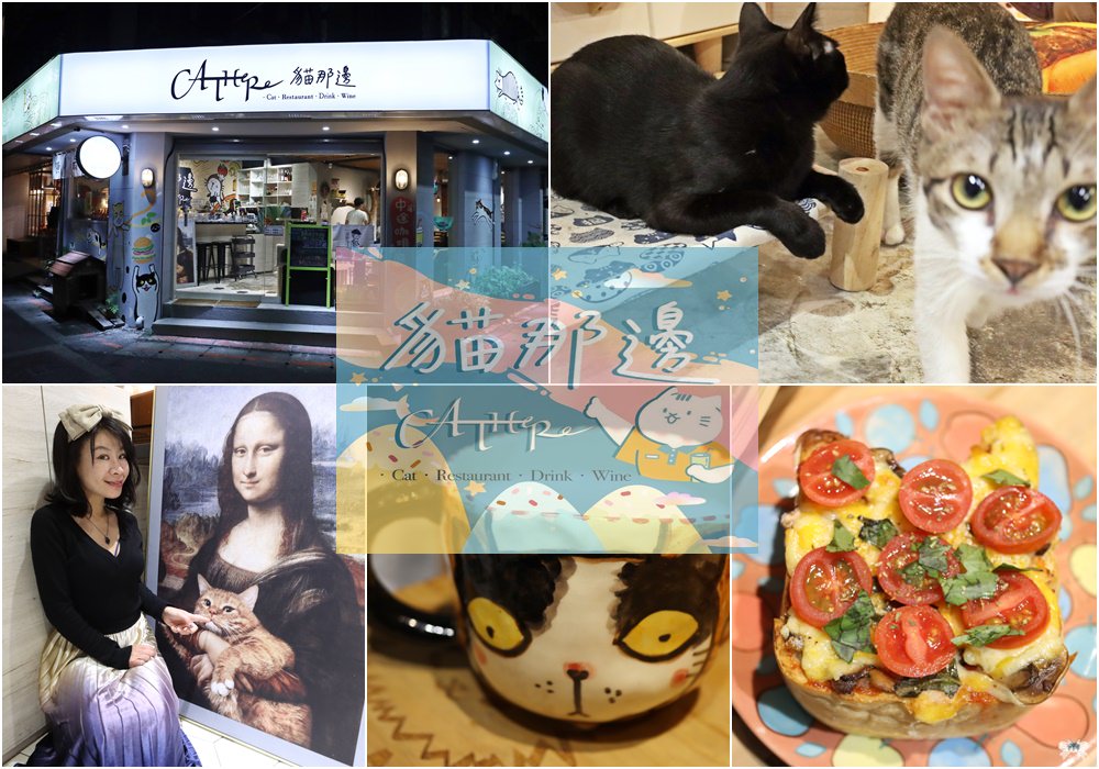 《台北貓咪餐廳》貓那邊|市府站新開幕中途咖啡廳，蒙娜麗莎的貓咪