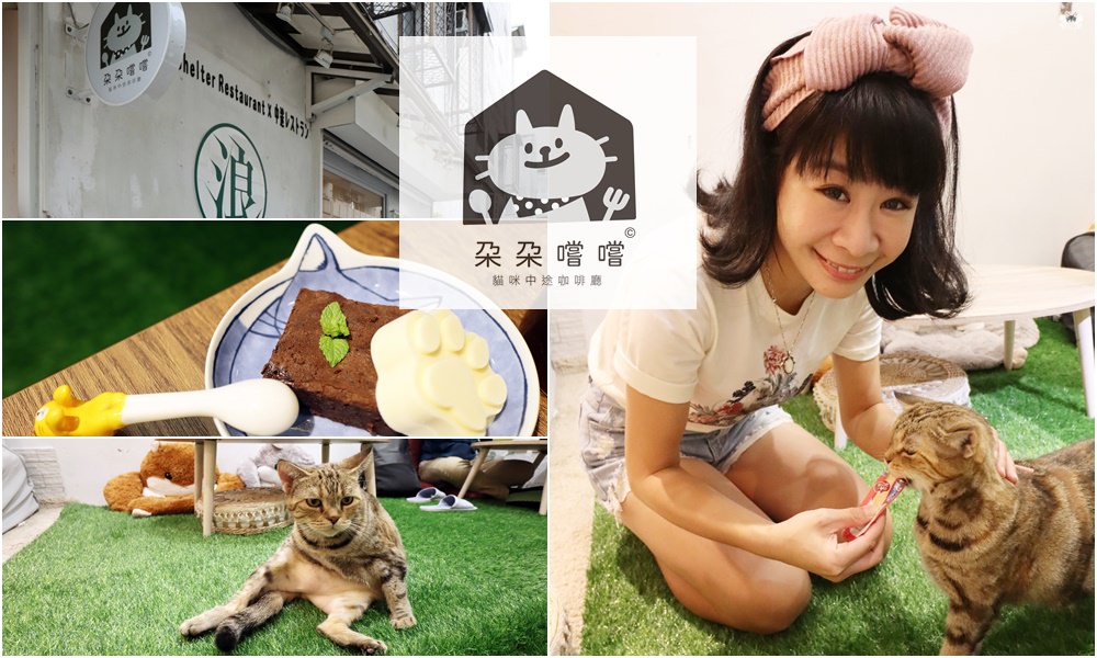 《台北貓咪餐廳》朵朵嚐嚐貓咪中途咖啡廳|對貓咪的真愛不躲藏，更名新出發近大安站
