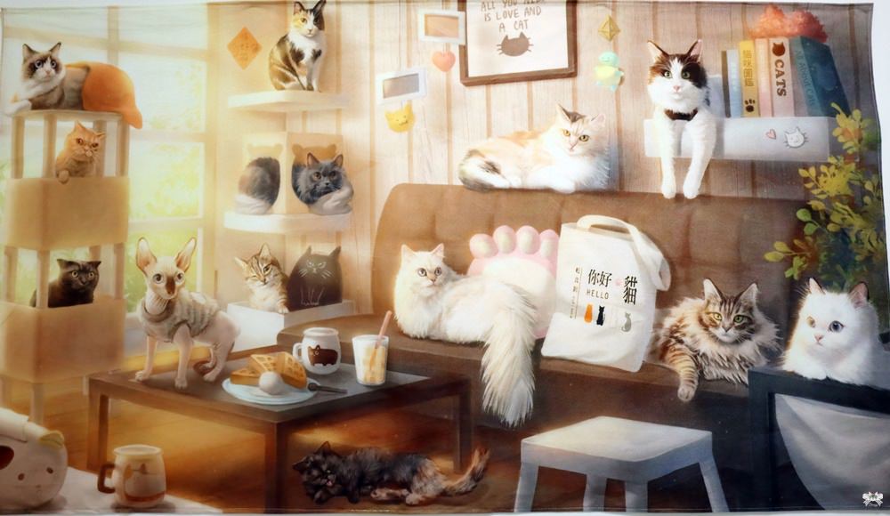 永和貓咪餐廳