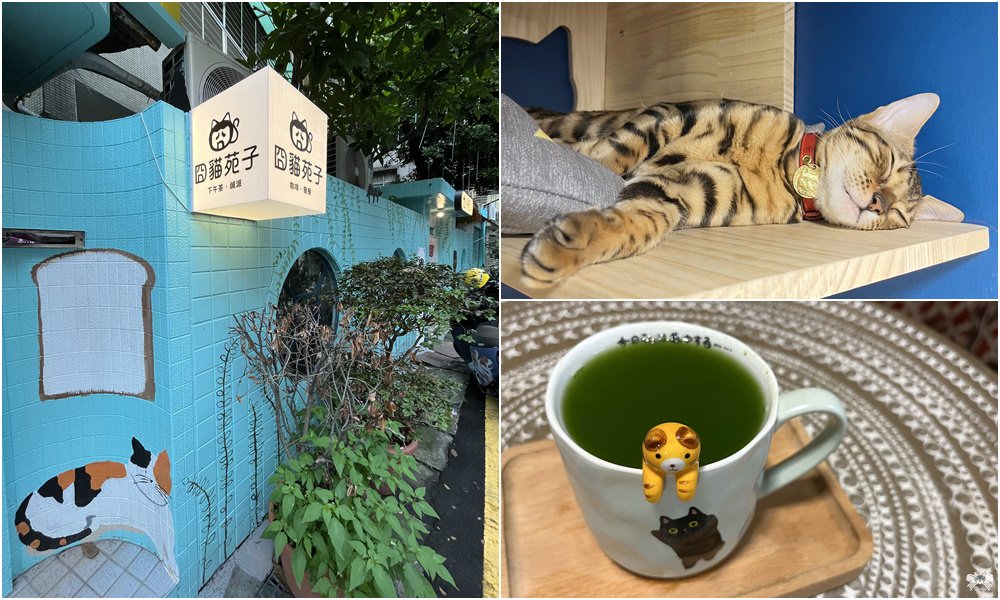 《永和貓咪咖啡》冏貓苑子|古董雜貨風豐富元素與餐點，拍美照兼嚕貓！