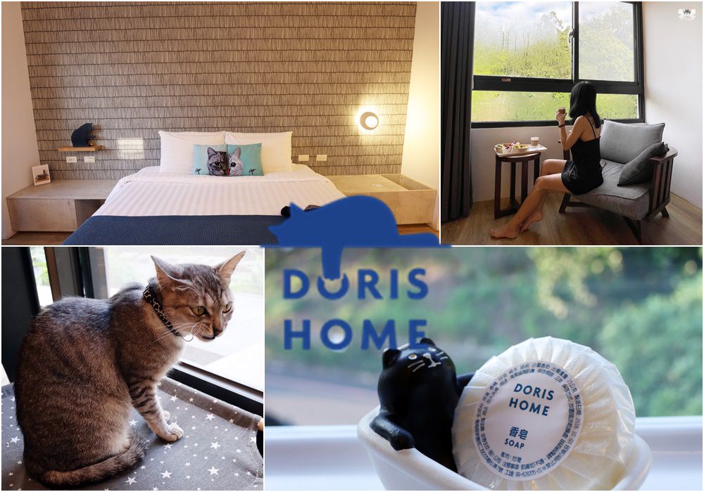 《南投貓咪住宿》Doris Home 朵麗絲的家|貓主題寵物友善堪比飯店等級的日月潭民宿