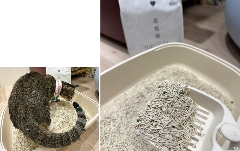【包養貓咪日誌】貓砂 豆腐砂推薦|捏捏試用實測評比 - 第25張圖