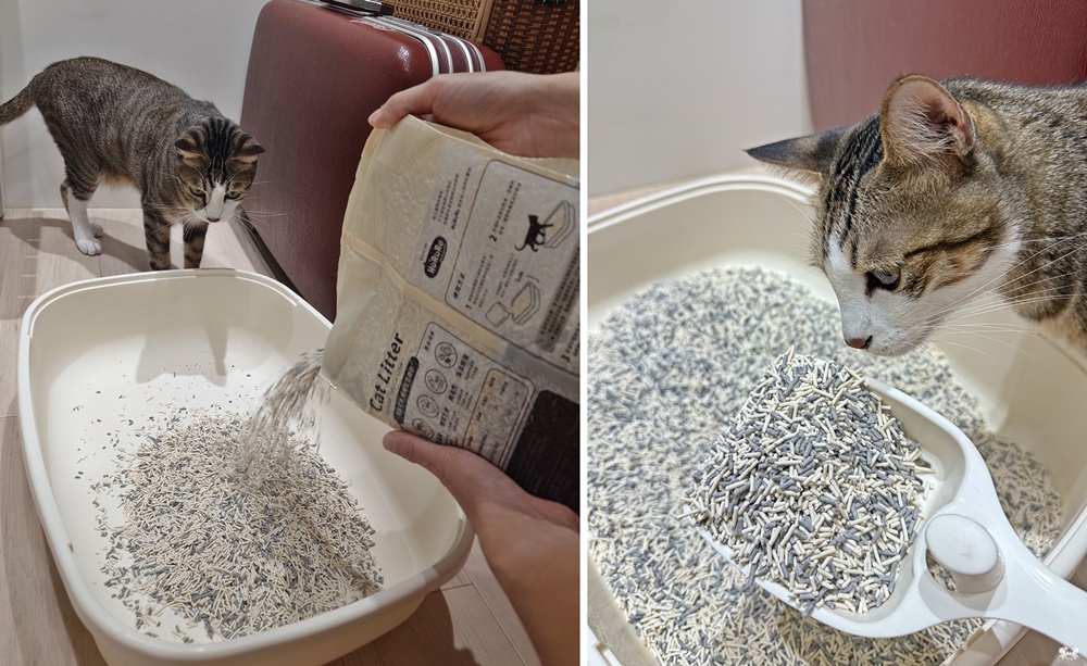 【包養貓咪日誌】貓砂 豆腐砂推薦|捏捏試用實測評比 - 第27張圖