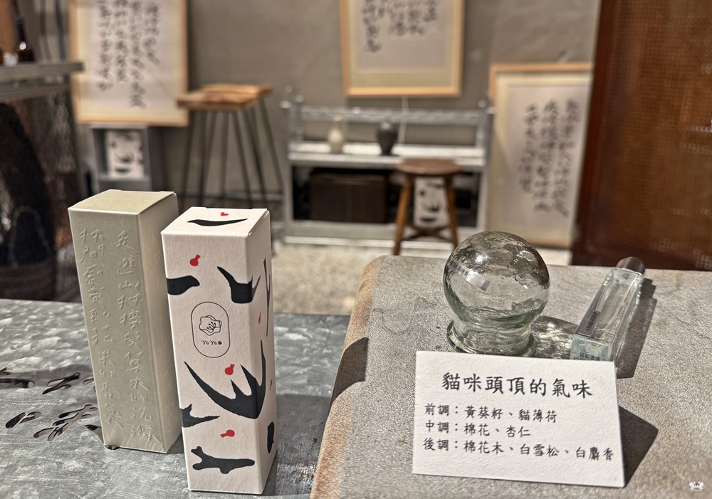 《台北貓咪咖啡》紅玥緬因貓藝廊 Red Moon|中山商圈赤峰街 - 第17張圖