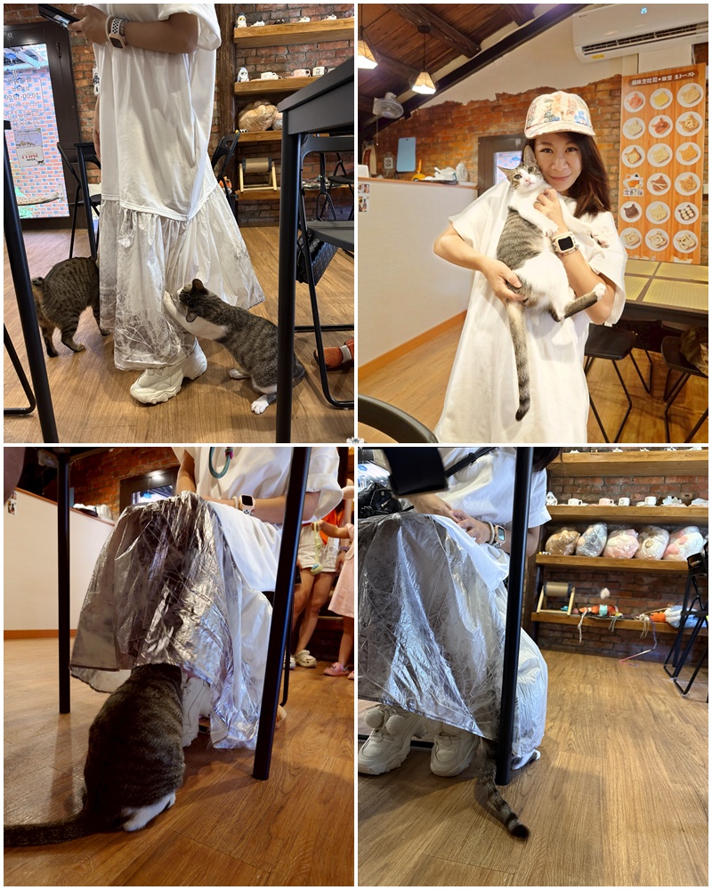 《九份貓咪餐廳》九份奇喵時光|貓咪主題輕食館,貓咪造型生吐司 - 第9張圖