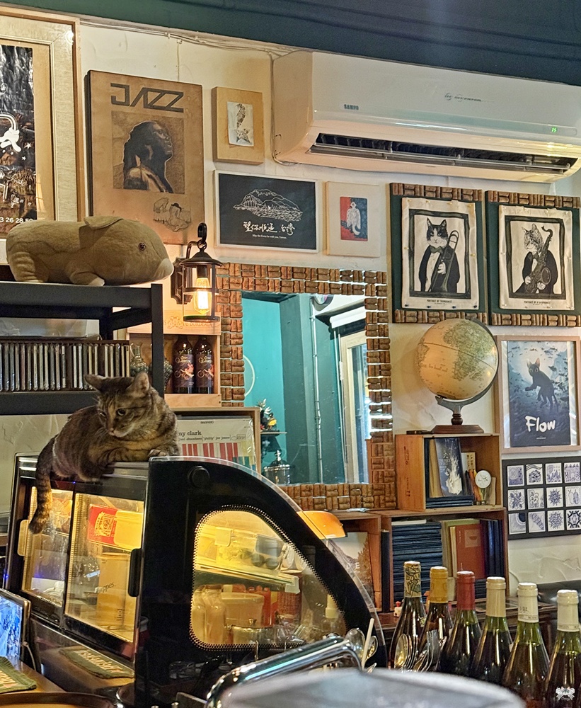 《台北貓咪酒吧》HIPP 喜寶棧咖啡酒館 & 貓旅館|南機場夜市的深夜爵士角落 - 第7張圖