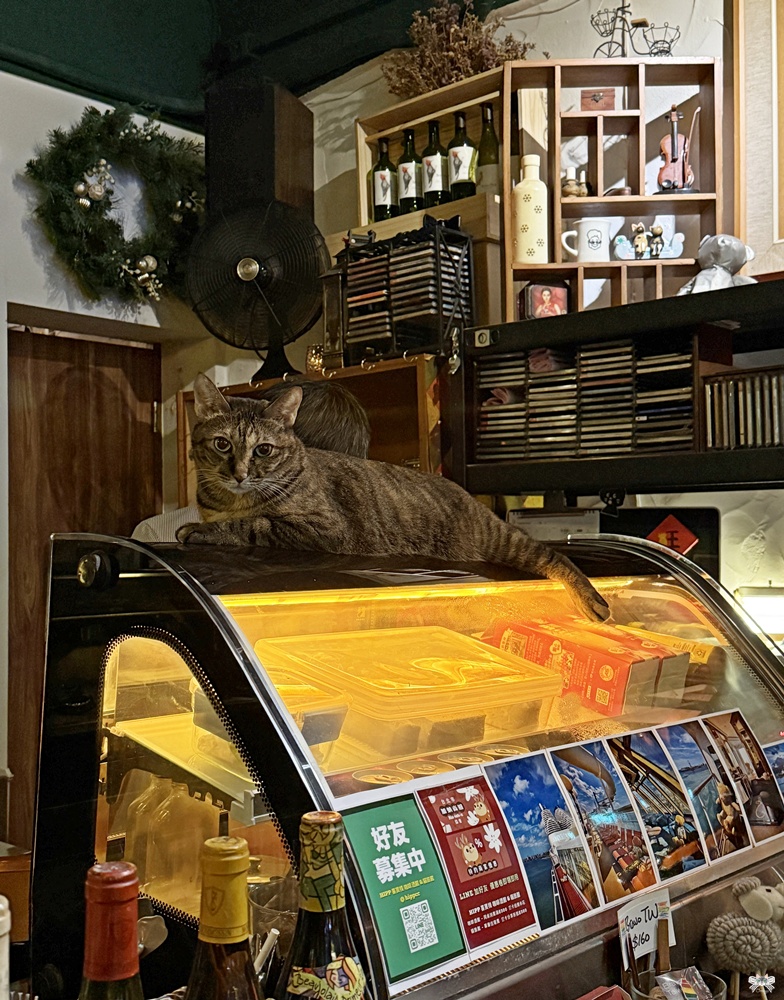 《台北貓咪酒吧》HIPP 喜寶棧咖啡酒館 & 貓旅館|南機場夜市的深夜爵士角落 - 第8張圖