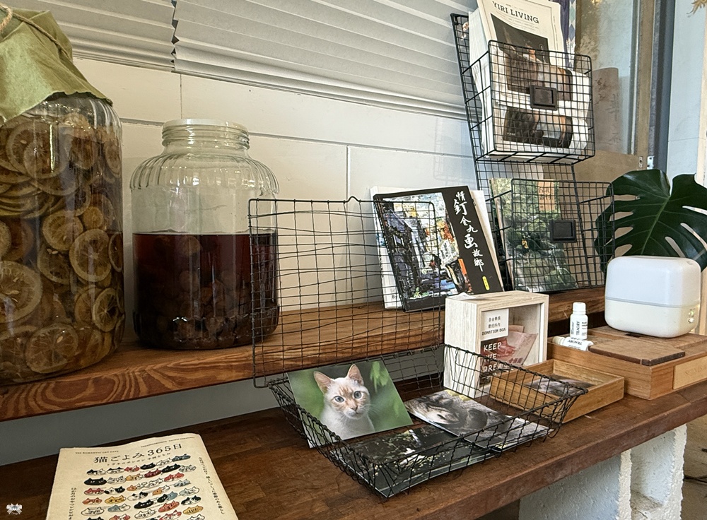 《九份貓咪茶館》野事草店│純白釘畫藝廊系咖啡館,藥草茶概念空間 - 第11張圖 《九份貓咪茶館》野事草店│純白釘畫藝廊系咖啡館,藥草茶概念空間