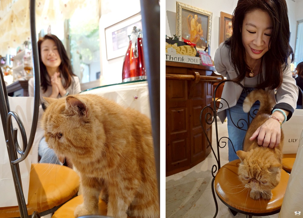 《新竹貓咪咖啡》愛上咖啡│溫暖的藝術氣質與高級瓷器下午茶 - 第15張圖 《新竹貓咪咖啡》愛上咖啡│溫暖的藝術氣質與高級瓷器下午茶