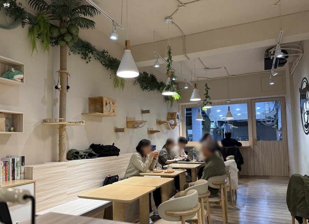 《板橋貓咪咖啡》豬豬咖啡|介壽市場內不限時咖啡,近新埔站 - 第4張圖 《板橋貓咪咖啡》豬豬咖啡|介壽市場內不限時咖啡,近新埔站