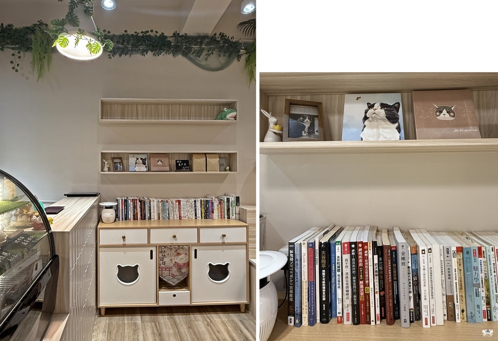 《板橋貓咪咖啡》豬豬咖啡|介壽市場內不限時咖啡,近新埔站 - 第5張圖 《板橋貓咪咖啡》豬豬咖啡|介壽市場內不限時咖啡,近新埔站