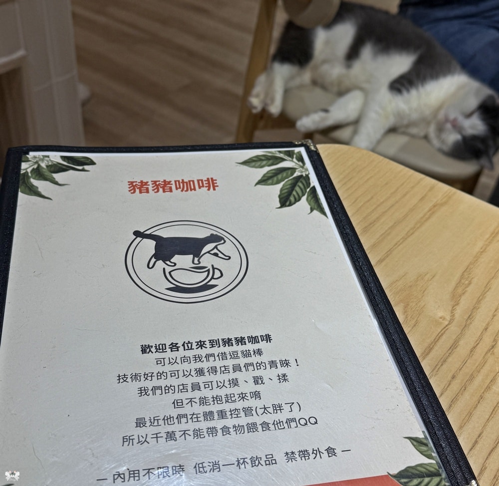 《板橋貓咪咖啡》豬豬咖啡|介壽市場內不限時咖啡,近新埔站 - 第9張圖 《板橋貓咪咖啡》豬豬咖啡|介壽市場內不限時咖啡,近新埔站