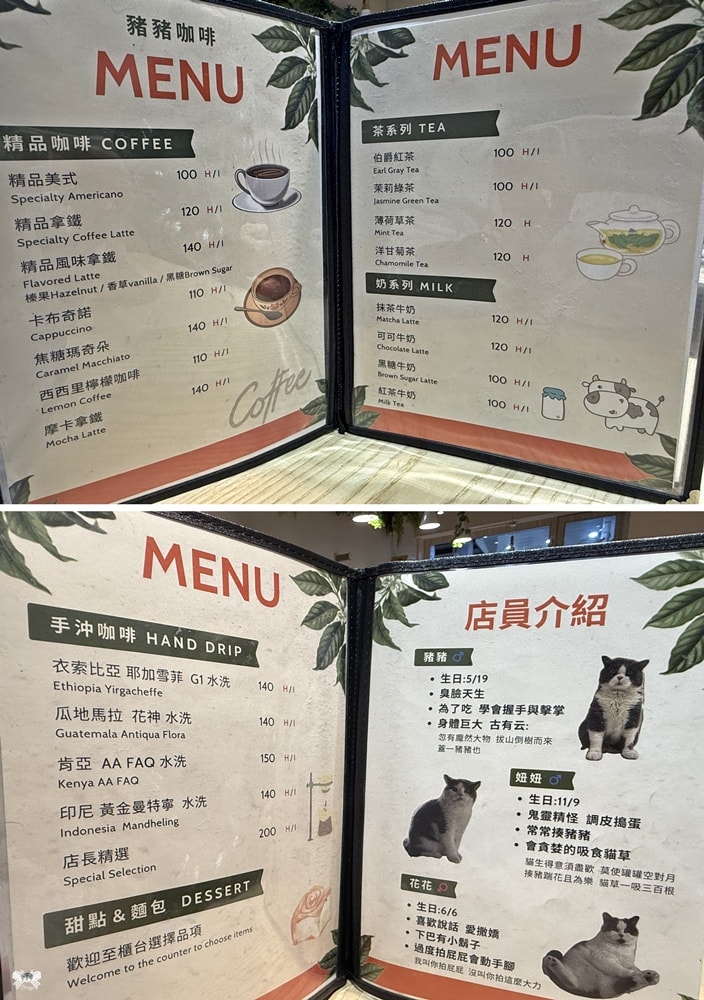 《板橋貓咪咖啡》豬豬咖啡|介壽市場內不限時咖啡,近新埔站 - 第10張圖 《板橋貓咪咖啡》豬豬咖啡|介壽市場內不限時咖啡,近新埔站