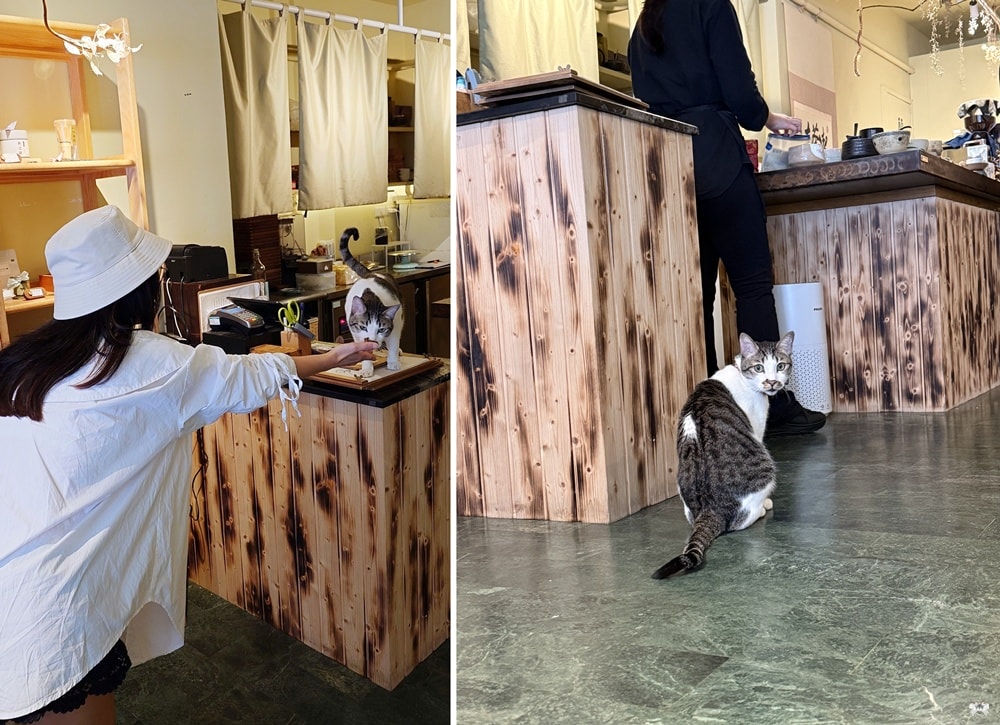 《台北貓咪茶館》Aki matcha bar|手刷抹茶專門店，抹茶控請朝聖