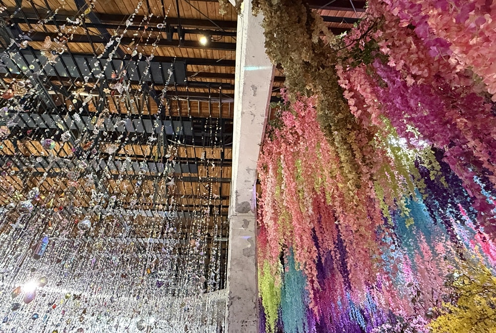 《台北貓咪咖啡》About H|華山看完蜷川實花來吸貓,人氣千層蛋糕,親子寵物友善 - 第22張圖 《台北貓咪咖啡》About H|華山看完蜷川實花來吸貓,人氣千層蛋糕,親子寵物友善