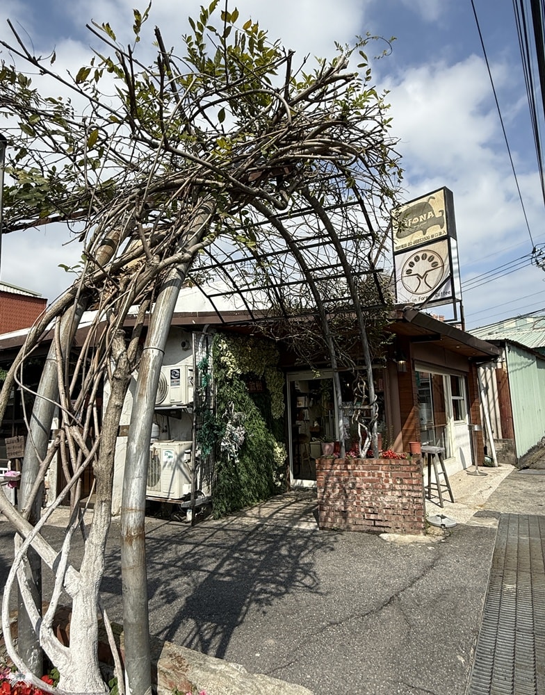 《樹林貓咪咖啡》敘樹咖啡|三合院裡的森林系小店