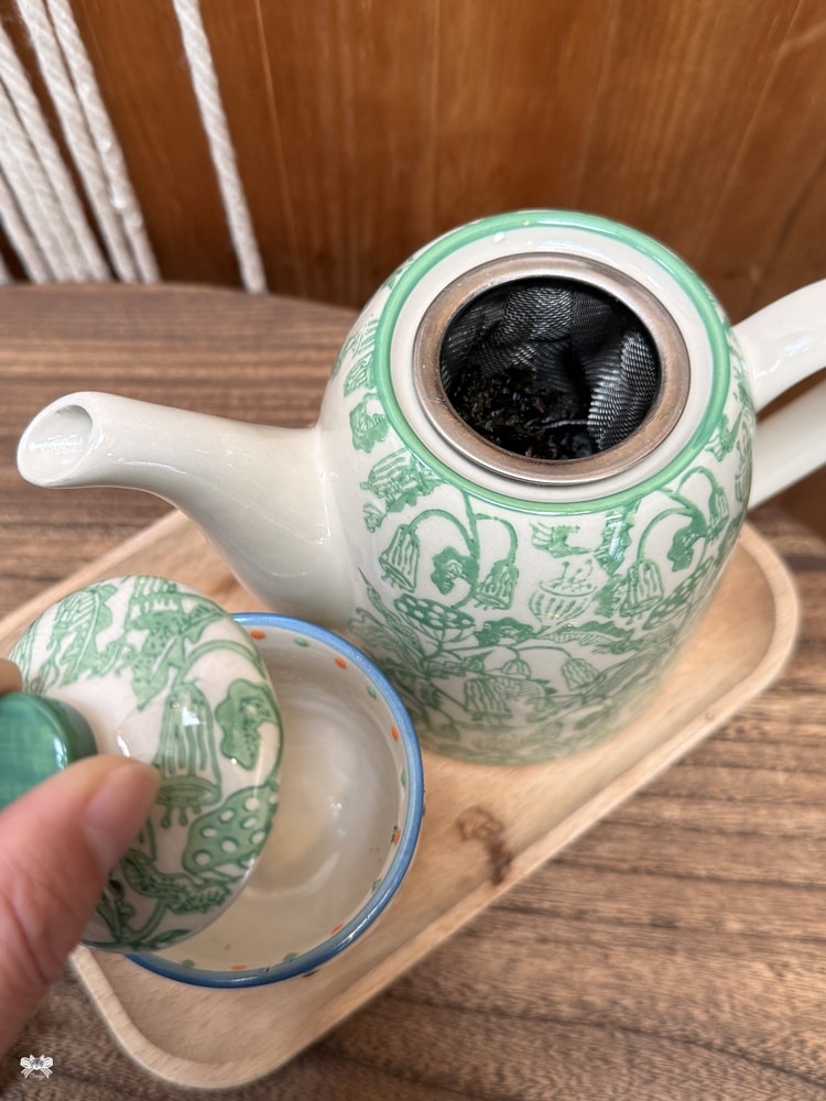 《樹林貓咪咖啡》敘樹咖啡|三合院裡的森林系小店
