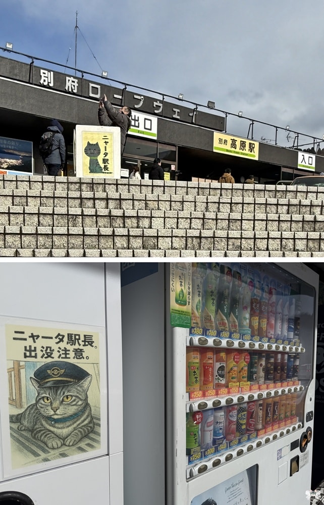 《日本九州景點》別府空中纜車|九州最大纜車登鶴見岳，雪白銀色世界