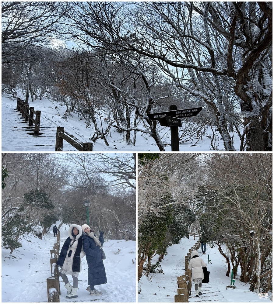 《日本九州景點》別府空中纜車|九州最大纜車登鶴見岳，雪白銀色世界