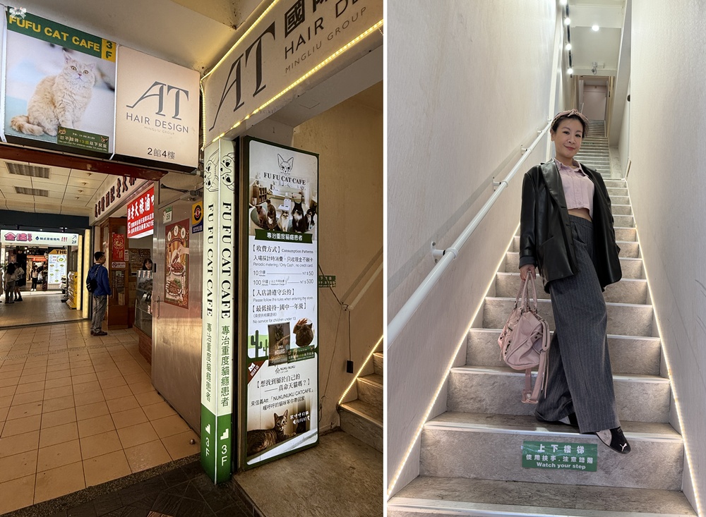 《台北貓咪咖啡》FUFUCatCafe|西門町計時制,大人專屬的品種貓時光 - 第1張圖 《台北貓咪咖啡》FUFUCatCafe|西門町計時制,大人專屬的品種貓時光