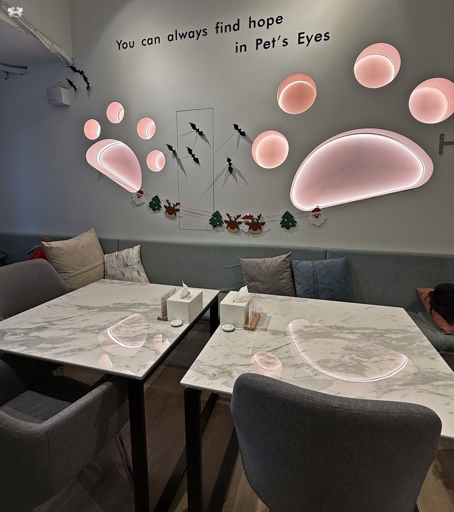 《新莊貓咪咖啡》Paws Cafe|寵物與親子友善,人寵一同放鬆享受早午餐,近幸福站 - 第5張圖 《新莊貓咪咖啡》Paws Cafe|寵物與親子友善,人寵一同放鬆享受早午餐,近幸福站