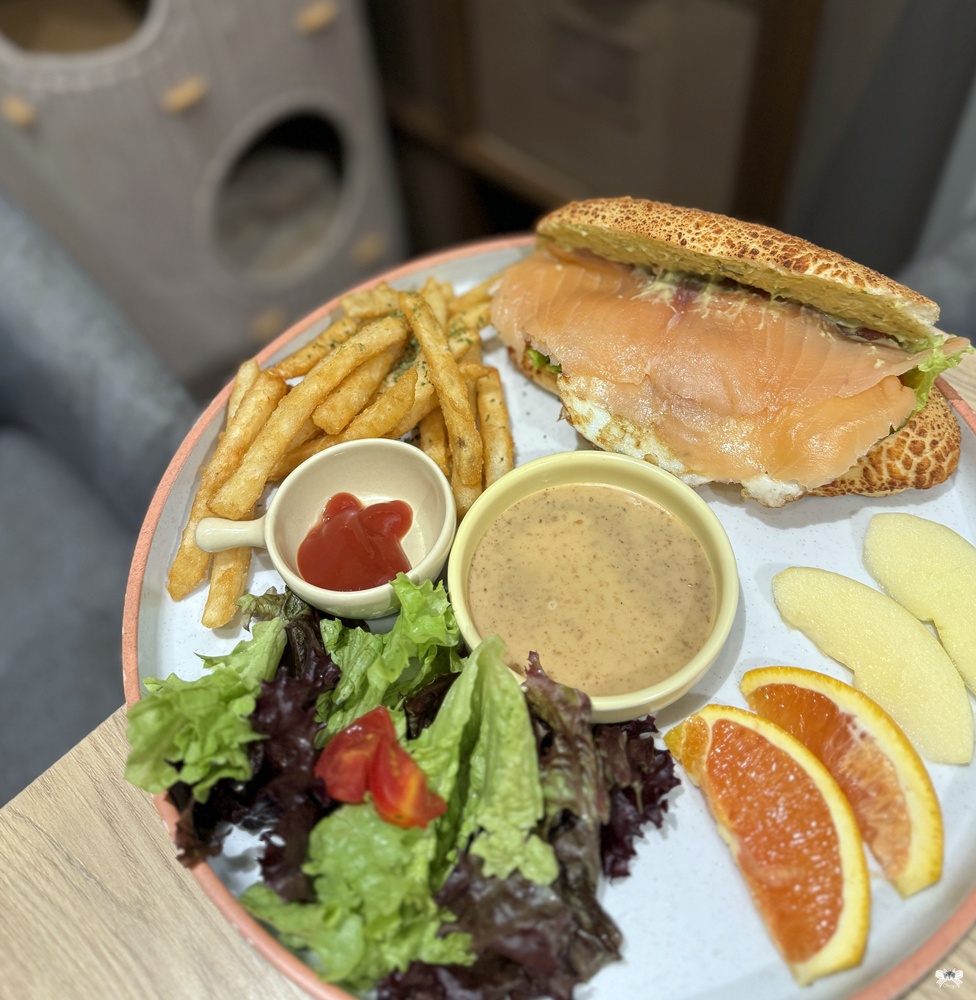 《新莊貓咪咖啡》Paws Cafe|寵物與親子友善,人寵一同放鬆享受早午餐,近幸福站 - 第8張圖 《新莊貓咪咖啡》Paws Cafe|寵物與親子友善,人寵一同放鬆享受早午餐,近幸福站