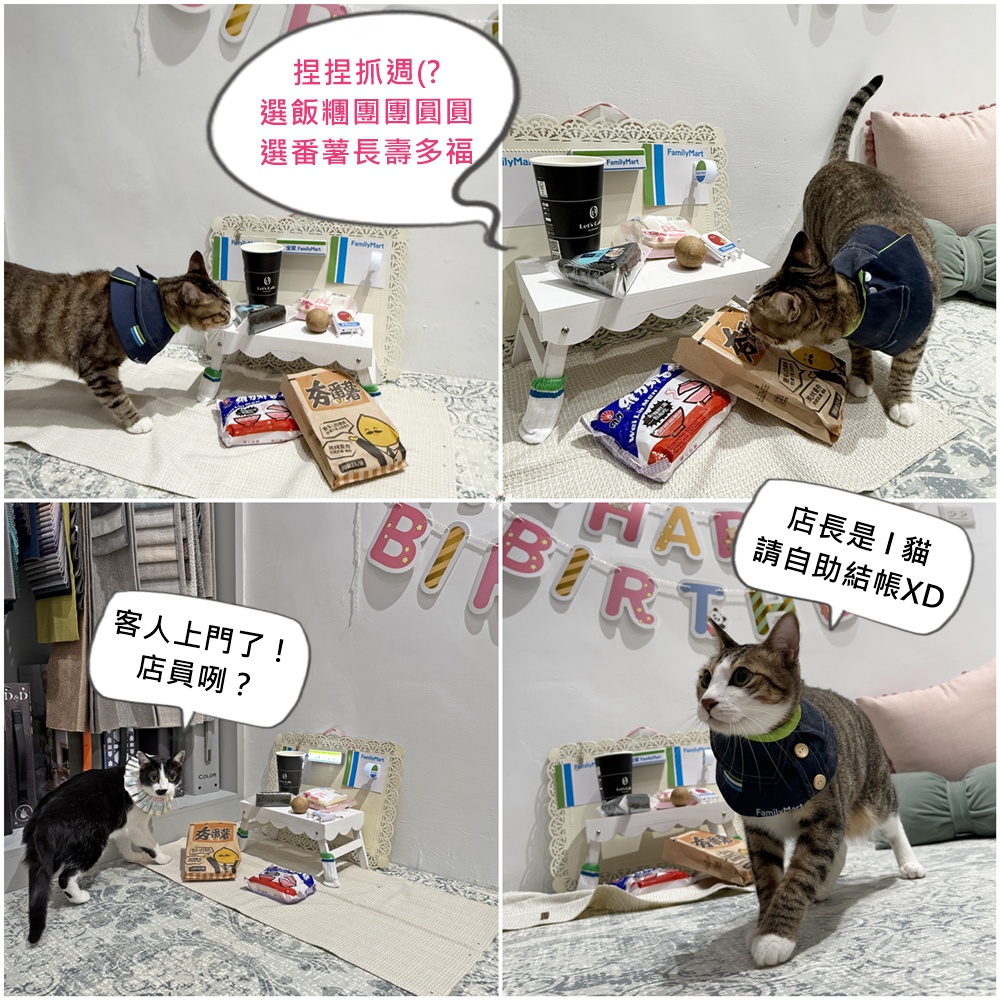 【包養貓咪日誌】捏捏四歲生日快樂！扮裝一日全家店長