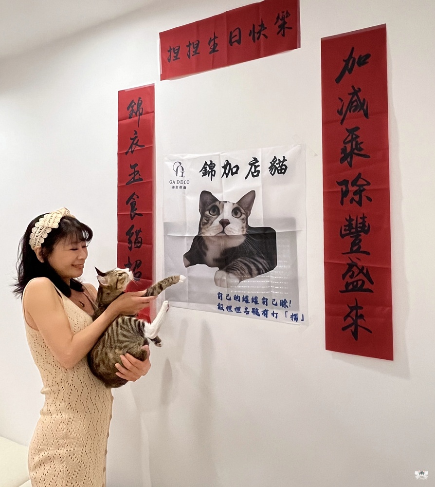 【包養貓咪日誌】捏捏四歲生日快樂！扮裝一日全家店長