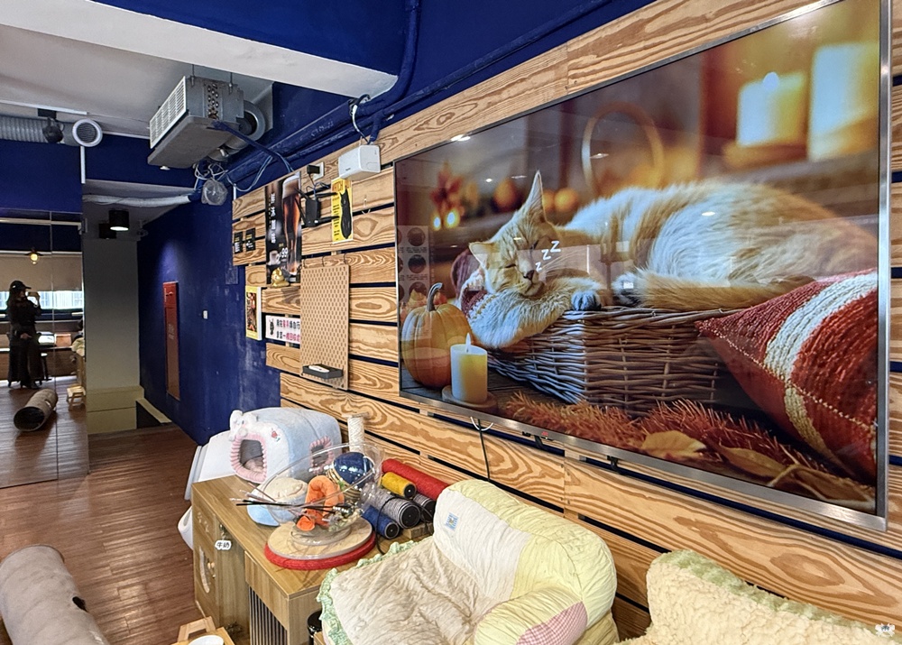 《永和貓咪咖啡》圖莫癮咖啡小酒館|全台第一家黑貓咖啡廳,頂溪站 - 第6張圖 《永和貓咪咖啡》圖莫癮咖啡小酒館|全台第一家黑貓咖啡廳,頂溪站