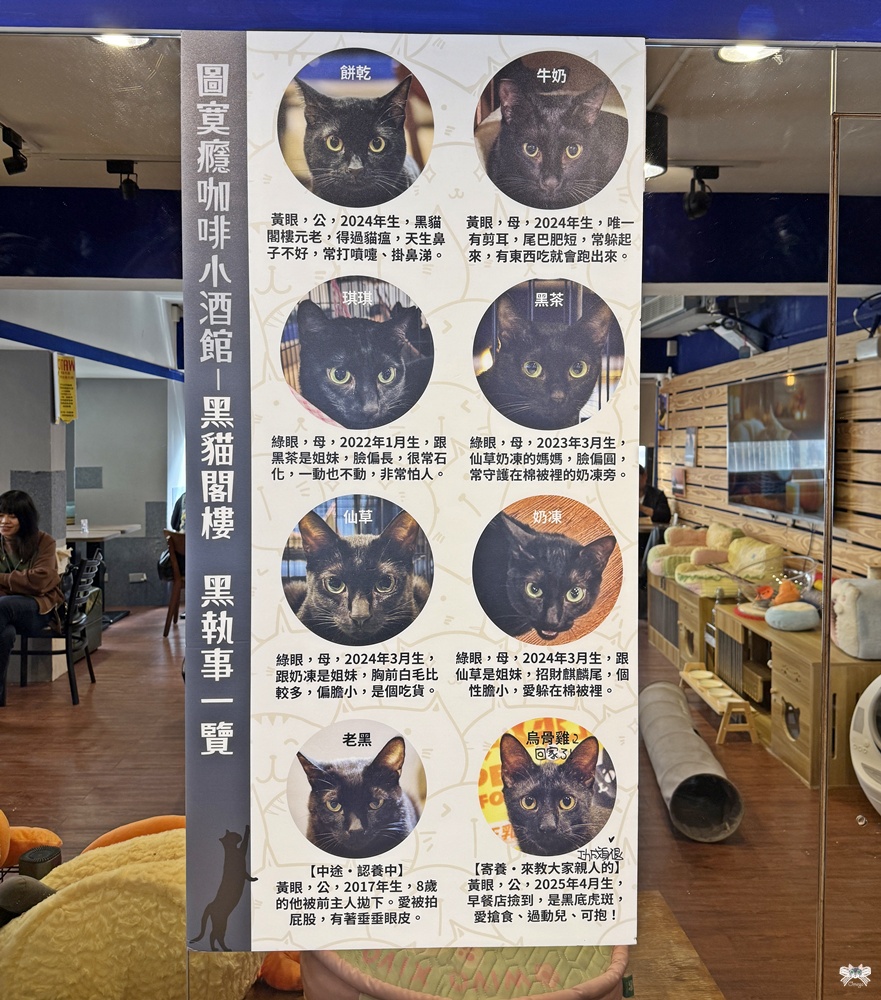 《永和貓咪咖啡》圖莫癮咖啡小酒館|全台第一家黑貓咖啡廳,頂溪站 - 第8張圖 《永和貓咪咖啡》圖莫癮咖啡小酒館|全台第一家黑貓咖啡廳,頂溪站