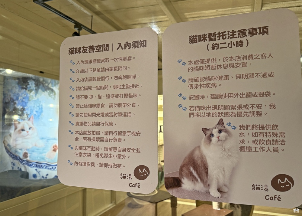《萬里貓咪咖啡》貓湯咖啡|泡火山浴溫泉喝咖啡擼布偶貓,貓肥湯潤 - 第12張圖 《萬里貓咪咖啡》貓湯咖啡|泡火山浴溫泉喝咖啡擼布偶貓,貓肥湯潤