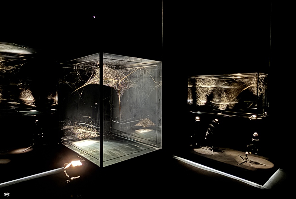 《展覽》托馬斯．薩拉切諾：共織宇宙|新北市美術館，建築展覽都值得再訪