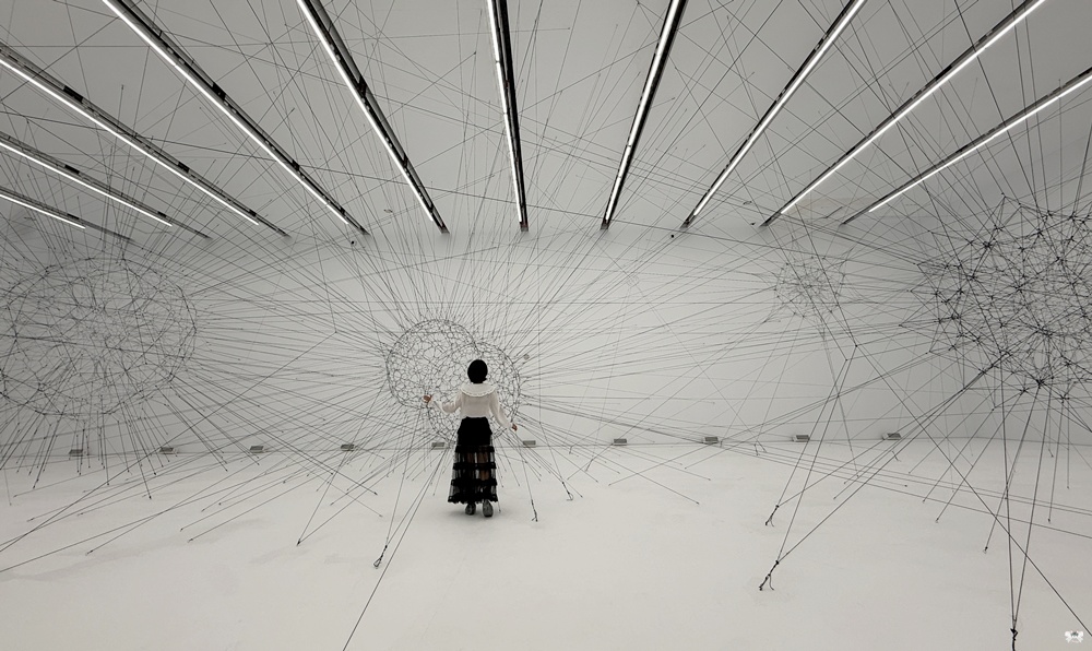 《展覽》托馬斯．薩拉切諾：共織宇宙|新北市美術館，建築展覽都值得再訪