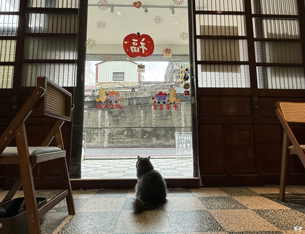 《桃園貓咪咖啡》MUYI CAFE木易咖啡|老宅咖啡，店狗店貓寵物友善