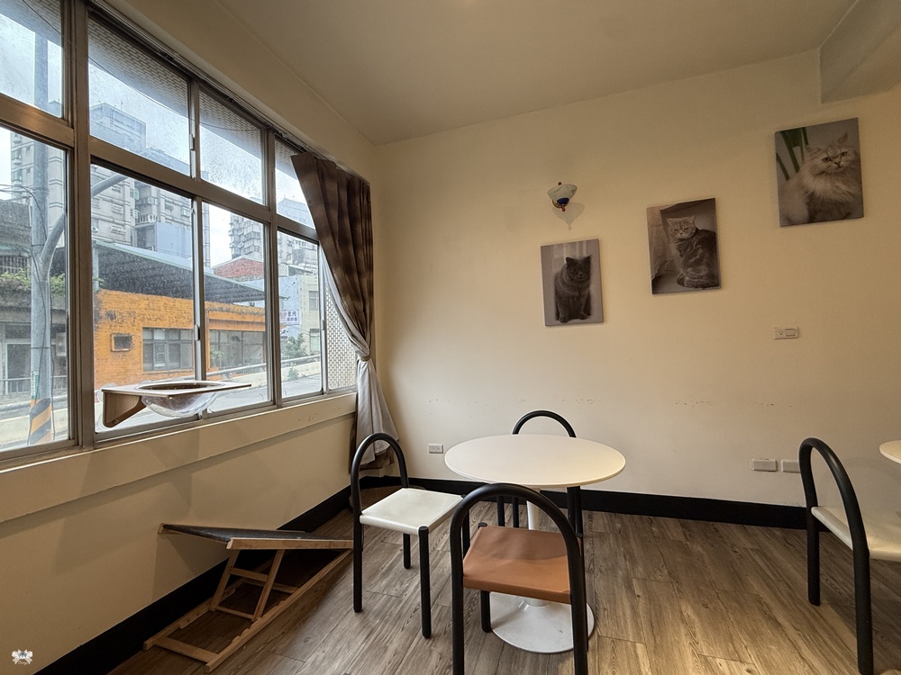 《桃園貓咪咖啡》MUYI CAFE木易咖啡|老宅咖啡，店狗店貓寵物友善